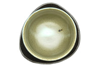 EdoMatcha mushroom yunomi Japanese teacup