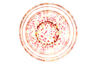 Kaben Chawan, Flower Petal Japanese Matcha Bowl, Red, Pink, Clear Glass, Tsuruoka ware, EdoMatcha