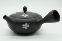 Hanafubuki Kyusu, Japanese Teapot