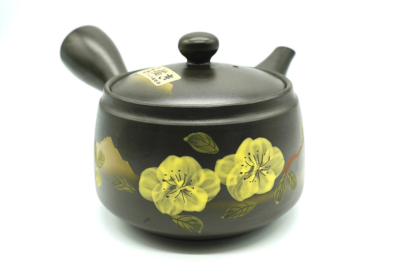 Mito Kyusu, Japanese Teapot, EdoMatcha